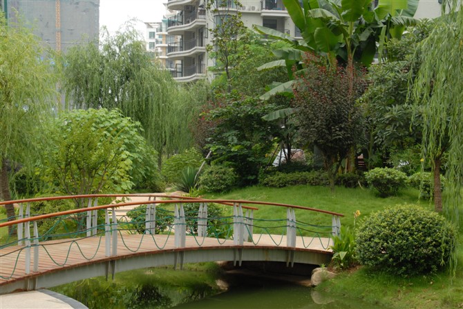 练市湖滨花园图片
