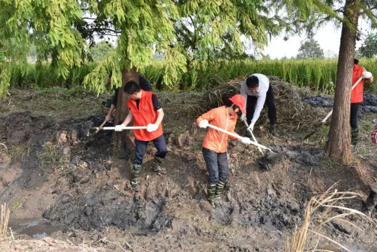 狠抓河道整治、提升河流生态品质_4