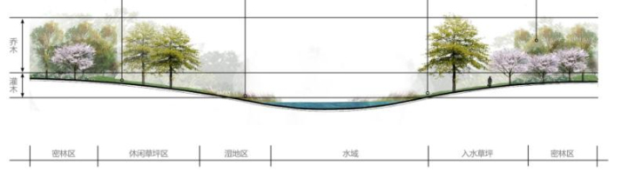 [浙江]360°环湖佛道文化生态海绵城市景观设计方案（2016最新）-植物配置立面图