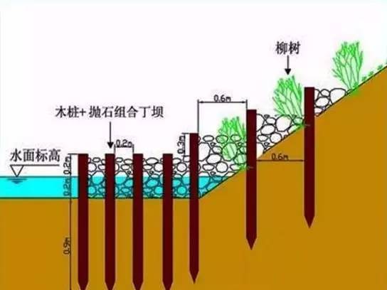 河道生态栖息地的修复设计与施工过程详解_5