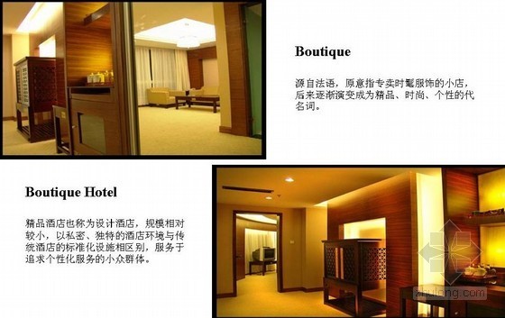安庆精品酒店设计资料下载-某集团精品酒店项目策划