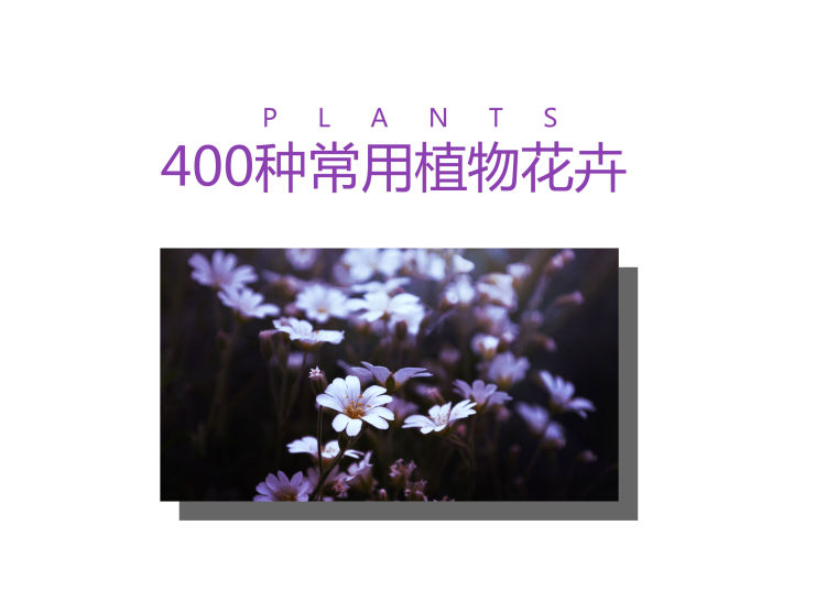 贵州景观植物文本资料下载-[景观植物]常见植物花卉400余种