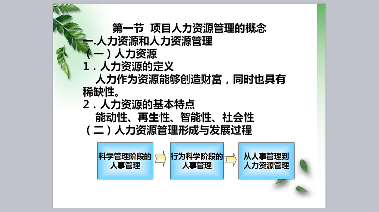 第十一章-项目人力资源管理-人力资源管理2