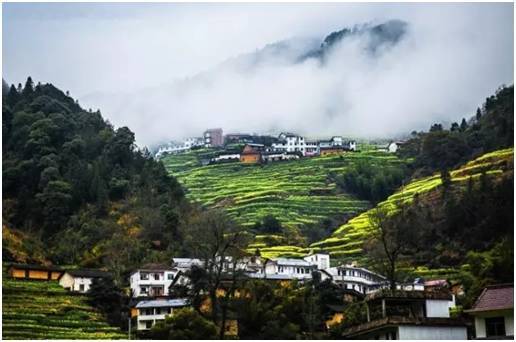 中国最美的20座呼吸小城，洗肺天堂有你的家乡吗？_75