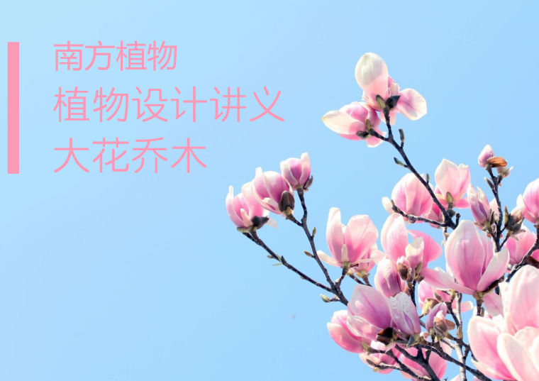 北京园林常见植物资料下载-[植物讲义]南方常见植物-大花乔木