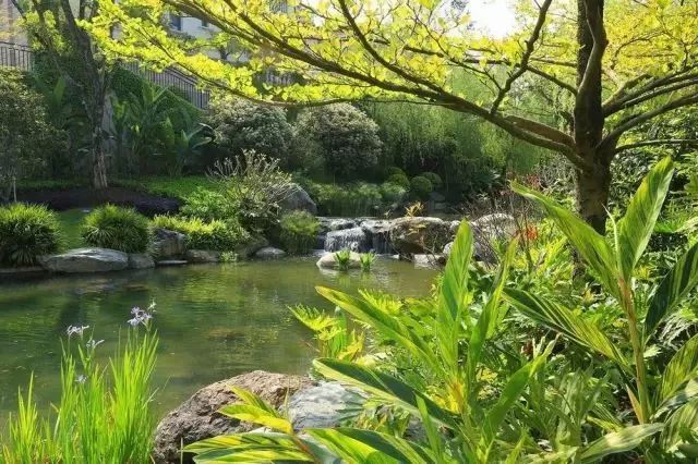 水景的驳岸资料下载-不规则驳岸设计，为水景增色！