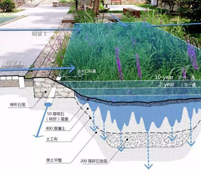 绿地雨水花园资料下载-一直大火的“雨水花园“究竟是什么？