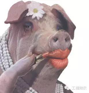 结构专业意见资料下载-工程各专业的相互看法，牛人总结，太搞笑了！