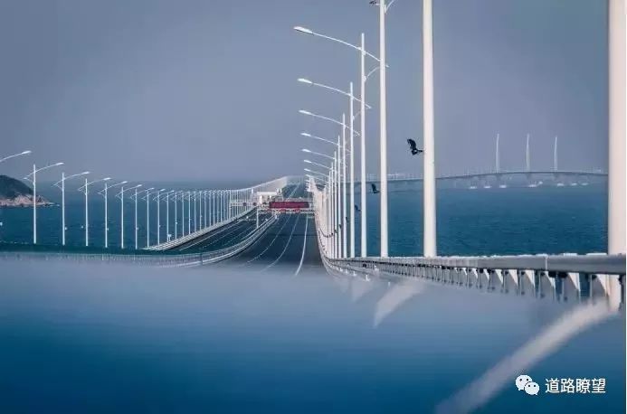 港珠澳大桥造价多少资料下载-港珠澳大桥抗震隔震设计的秘密