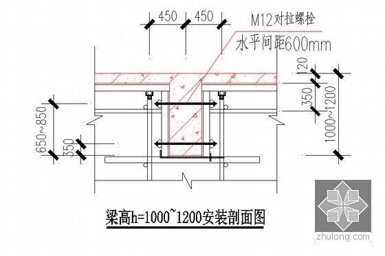 [四川]框架结构规划展示中心工程高大支模专项施工方案(114页 附详图)-安装剖面图