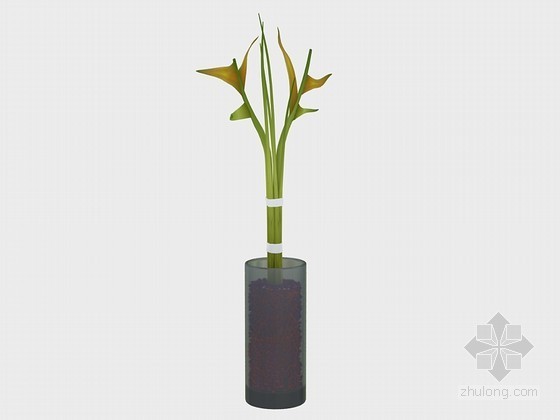 草图大师植物组件模型资料下载-玻璃容器植物3D模型下载