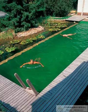 景观新概念——生态泳池_2