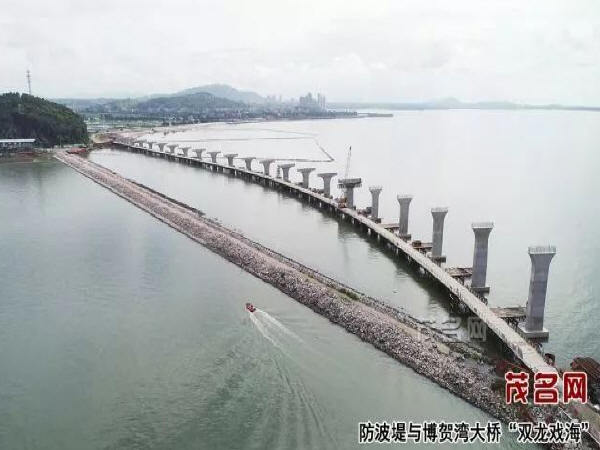 桥桩基础施工方案资料下载-博贺湾大桥项目建设快马加鞭，桥桩基础已全部完工！