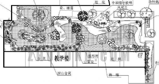 长沙市某中学景观规划施工图-3
