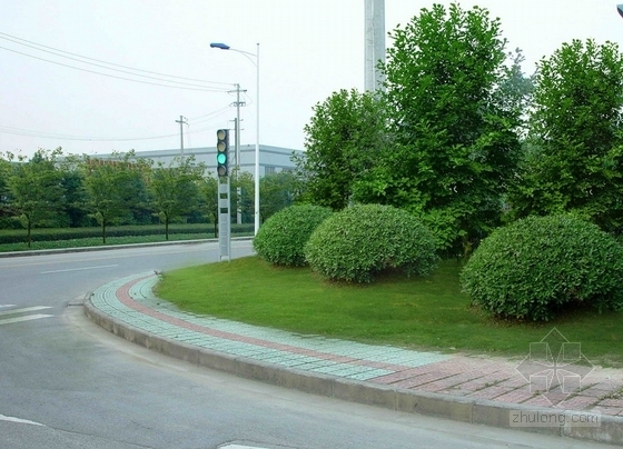 [无锡]城市主干道路绿化改造设计方案-效果图