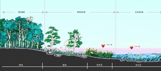 [上海]世博会湿地公园景观规划设计方案（北京著名景观设计公司）-景观立面图