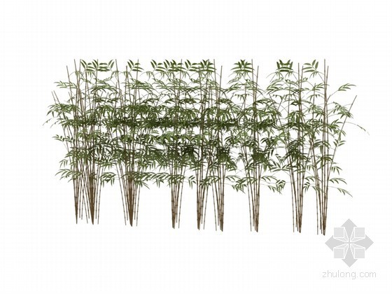 建筑景观3D模型资料下载-景观植物3D模型下载