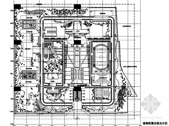 CAD园林绿化植物资料下载-校园周边环境园林绿化植物配置施工图