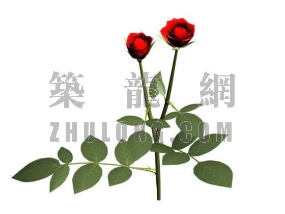 郑州风玫瑰坐标图资料下载-玫瑰