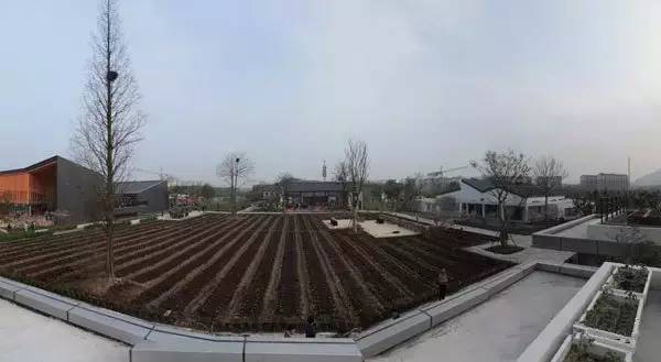 中国最成功的乡村改造！！！_2