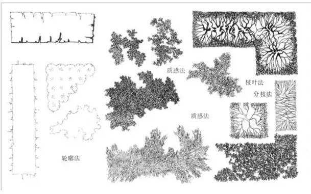 景观快题设计中植物表达技法！_39