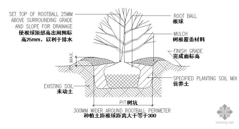 种植屋顶防水做法资料下载-灌木种植做法详图