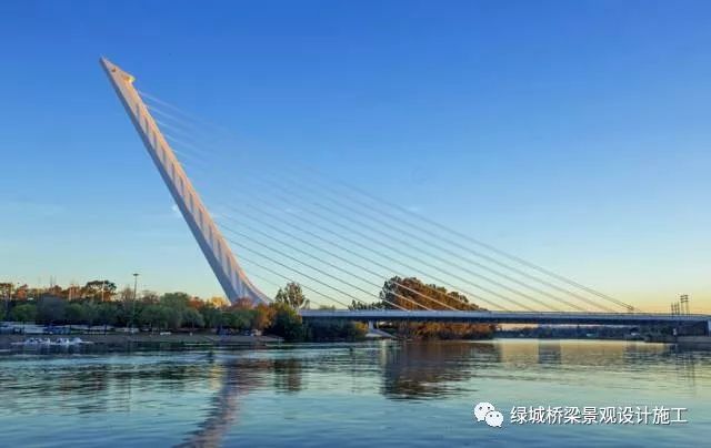 中国十大斜拉桥资料下载-突破常规的桥梁设计——无背索斜拉桥
