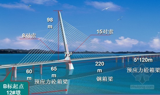 斜拉桥钢混组合梁施工方案资料下载-[厦门]斜拉桥预应力混凝土现浇箱梁施工方案（市政主干道）