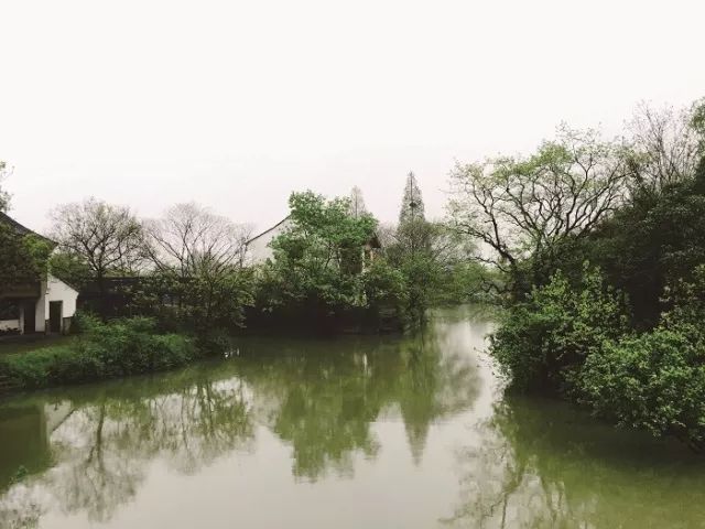 [植物配置]浅析河岸景观的生态修复_11