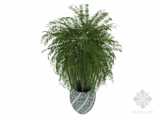 景观植物su3D模型资料下载-室内植物3D模型下载