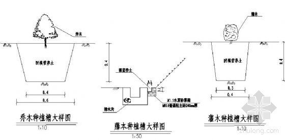 景观植物种植大样图资料下载-乔（灌）木种植大样图