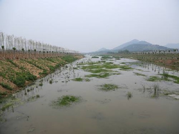 河道整治水土保持方案资料下载-河道整治改建工程Word版（共113页）