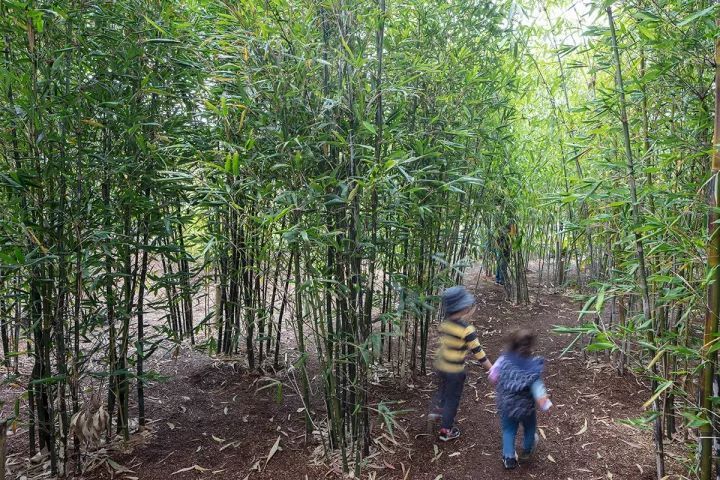 景观设计中儿童空间如何打造？从布局到小品植物应用，超详归纳！_16