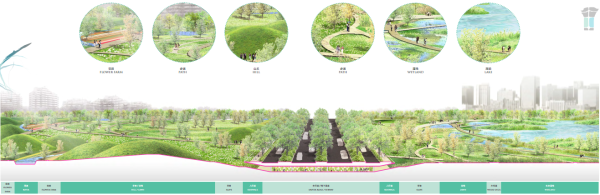 [四川]城市绿洲滨水生态中央公园景观设计方案-生态森林公园剖面图