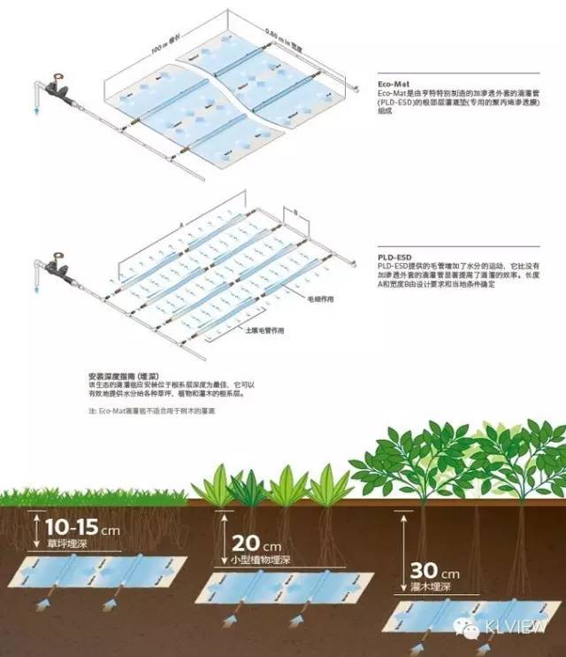 露台花园防水排水资料下载-屋顶花园设计规范及植物配置 ！