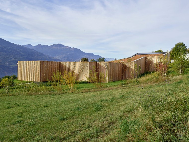 家庭住宅庭院设计资料下载-瑞士蛇形的家庭住宅