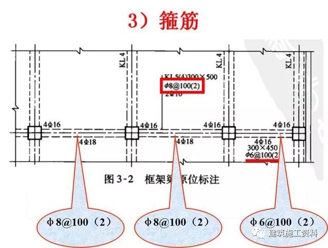 股骨矩三维图解图片