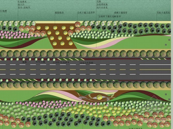 景观道路设计方案文本资料下载-某道路景观规划设计方案