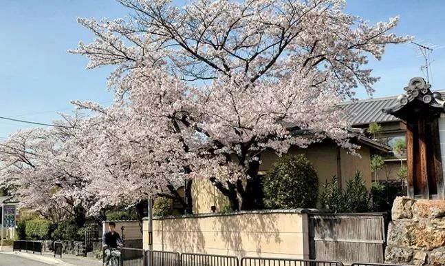 日本园林景观一瞥_13