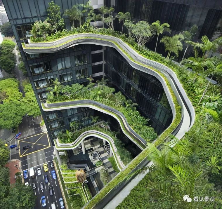 屋顶花园雨水收集资料下载-为什么全世界都向新加坡学习垂直绿化
