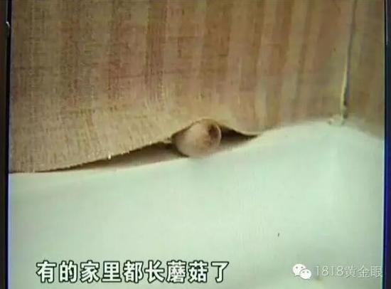 130新房装修资料下载-杭州新房交付1个月渗水长蘑菇承重墙开裂