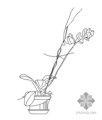 盆栽植物室内资料下载-盆栽植物图块3