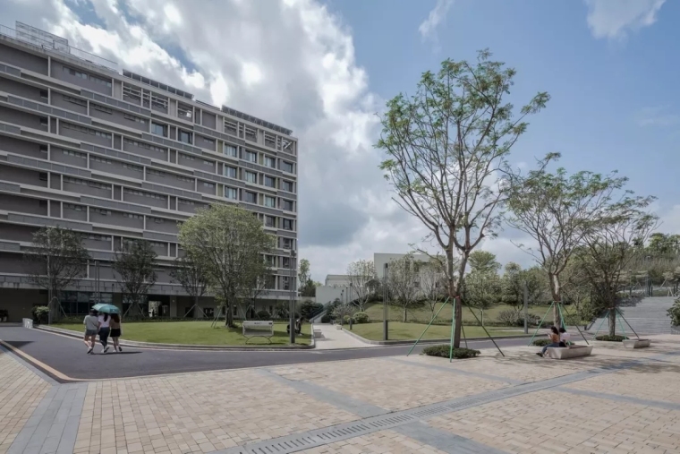 香港中文大学思廷学院-5cee0e0cce1e5