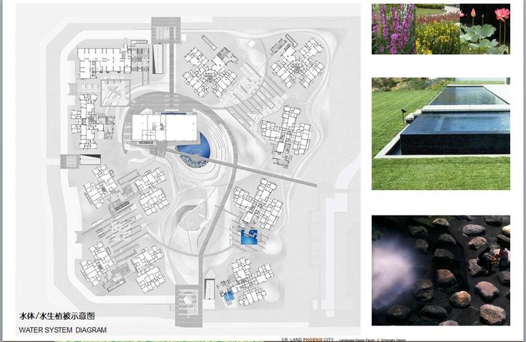 [四川]知名地产凤凰城景观方案设计-水生植物示意图
