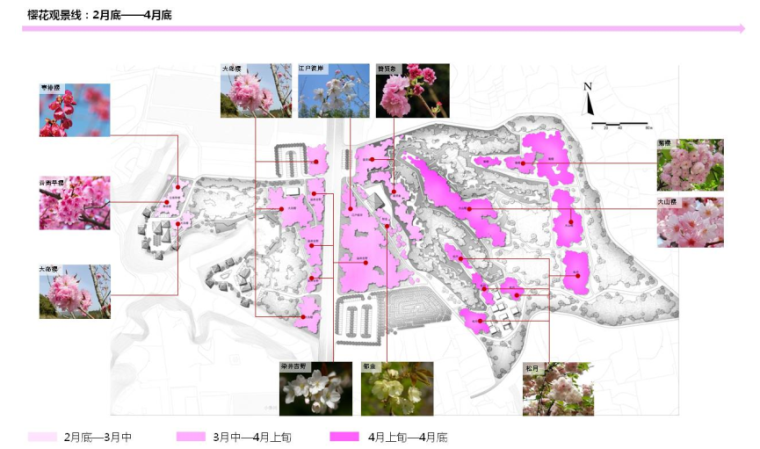 郑州小区规划设计方案资料下载-[河南]樱花主题旅游度假风景区规划设计方案