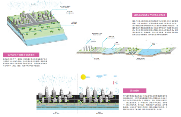 [四川]城市绿洲滨水生态中央公园景观设计方案-生态系统设计