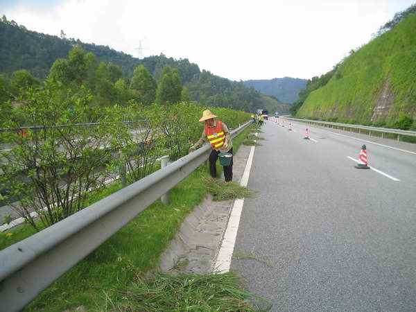 高速出口绿化方案资料下载-高速公路绿化养护和保洁方案