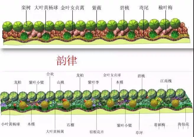 [干货]园林绿化及园林绿化施工全解_19