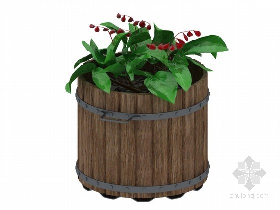 景观植物su3D模型资料下载-装饰植物3D模型下载