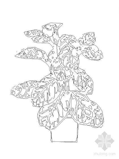 植物立面CAD图块资料下载-盆栽植物图块